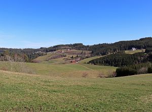 Vorfrhling in Tennenbronn im Schwarzwald