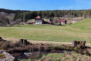 Vorfrhling in Tennenbronn im Schwarzwald