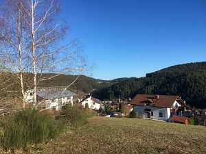 Vorfrhling in Tennenbronn im Schwarzwald