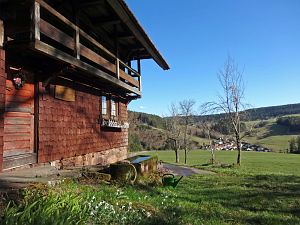 Vorfrhling in Tennenbronn im Schwarzwald