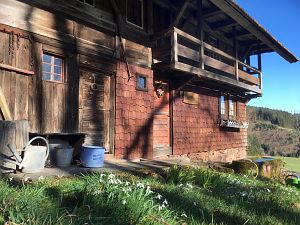 Vorfrhling in Tennenbronn im Schwarzwald