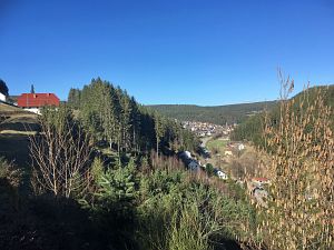 Vorfrhling in Tennenbronn im Schwarzwald