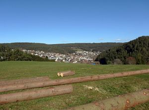 Vorfrhling in Tennenbronn im Schwarzwald