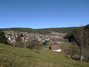 Vorfrhling in Tennenbronn im Schwarzwald