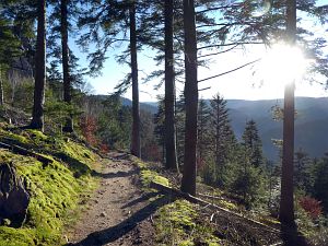 Hornberg Windeckfelsen