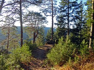 Hornberg Windeckfelsen