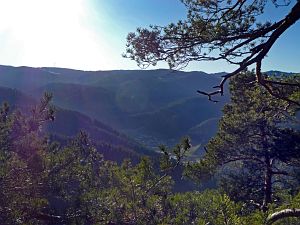 Hornberg Windeckfelsen