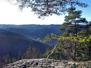 Hornberg Windeckfelsen