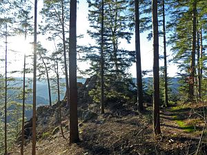 Hornberg Windeckfelsen