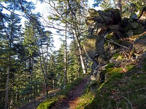 Hornberg Windeckfelsen