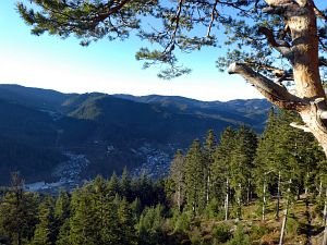Hornberg Windeckfelsen