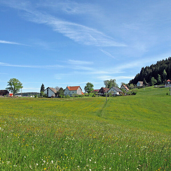 Wandern Tennenbronn - Tischneck - Ruine Berneck