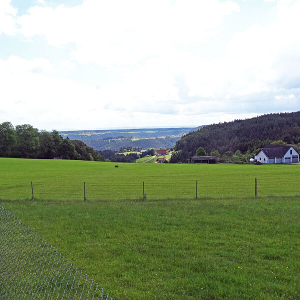 Lauterbacher Wandersteig