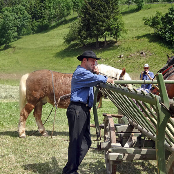 Heuwagen beladen und mit Gespann fahren