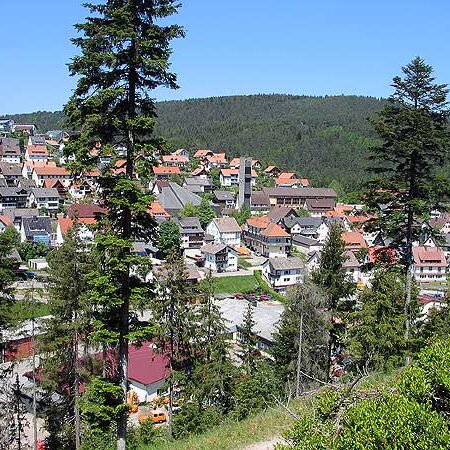 Wandern in Tennenbronn Mittelberg-Runde