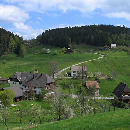 Wandern im Eichbach Tennenbronn