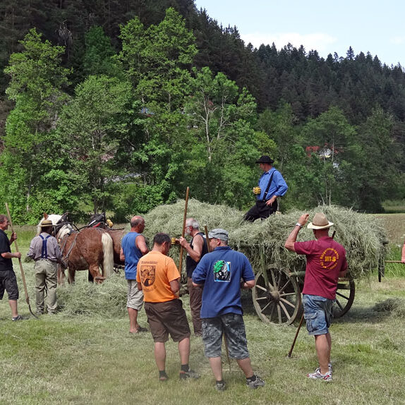 Heuwagen beladen und mit Gespann fahren