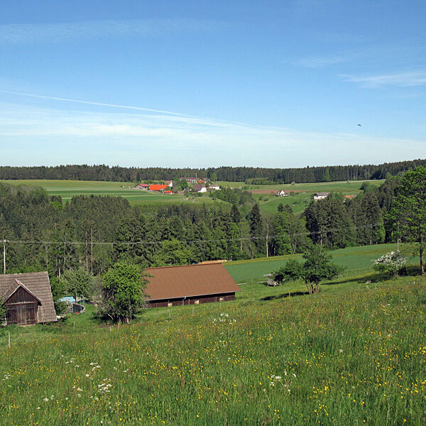 Wandern Tennenbronn - Tischneck - Ruine Berneck
