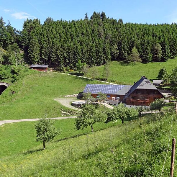 Triberg Schwarzwaldbahn Erlebnispfad