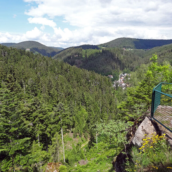 Lauterbacher Wandersteig