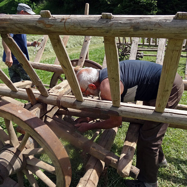 Leiterwagen aufbauen