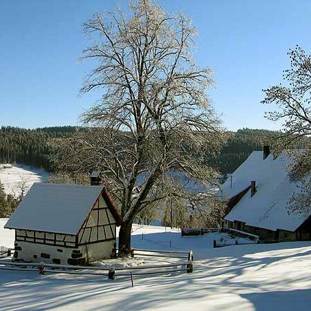 Wandern in Tennenbronn Mittelberg-Runde