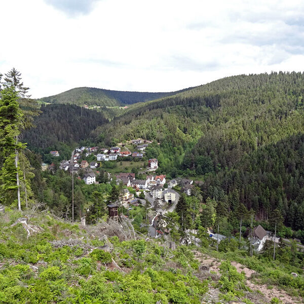 Lauterbacher Wandersteig
