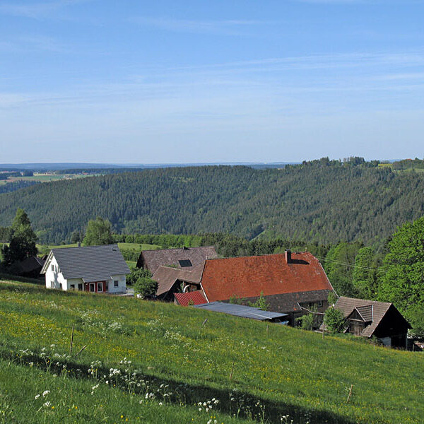 Wandern Tennenbronn - Tischneck - Ruine Berneck
