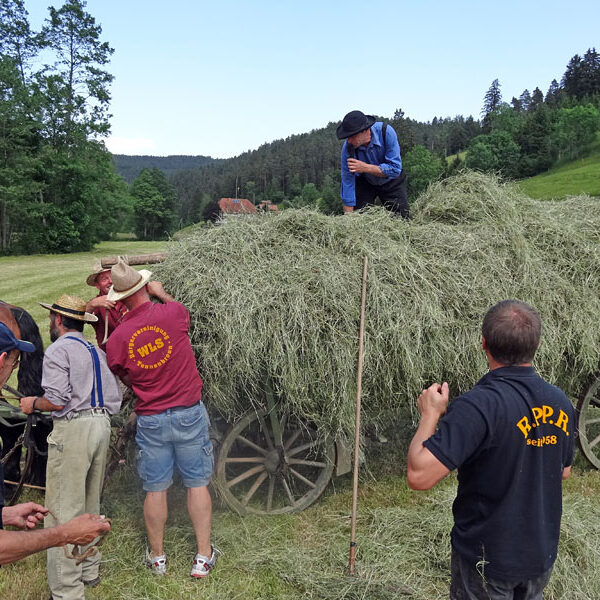 Heuwagen beladen und mit Gespann fahren