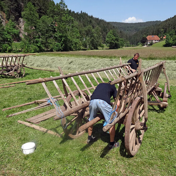 Leiterwagen aufbauen