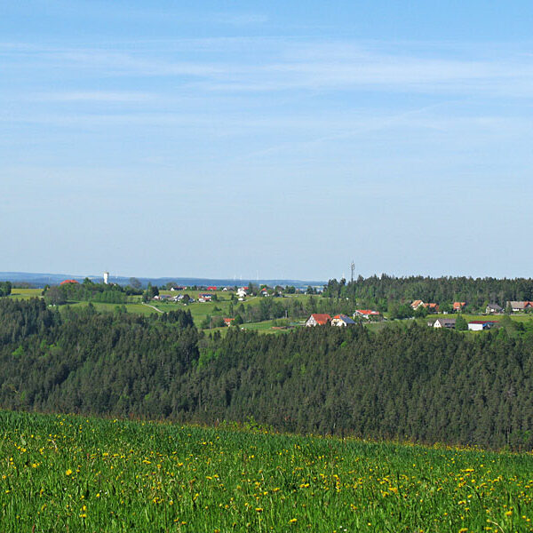 Wandern Tennenbronn - Tischneck - Ruine Berneck