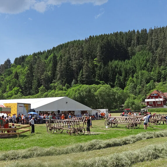 Leiterwagen aufbauen