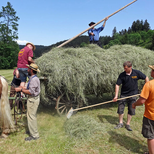 Heuwagen beladen und mit Gespann fahren