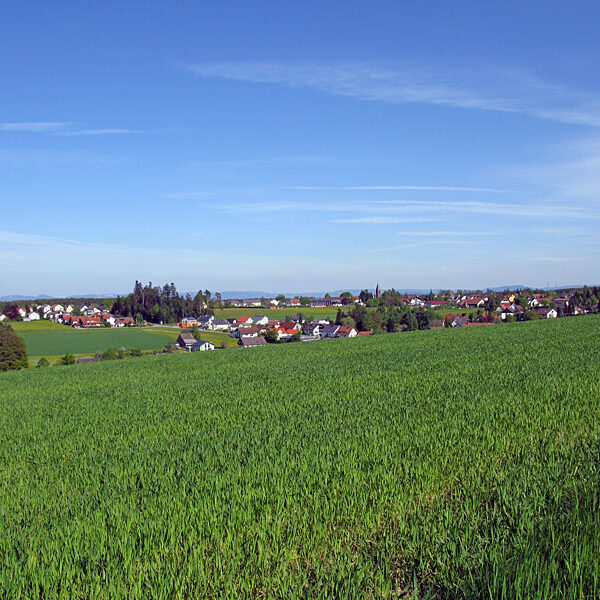 Wandern Tennenbronn - Tischneck - Ruine Berneck