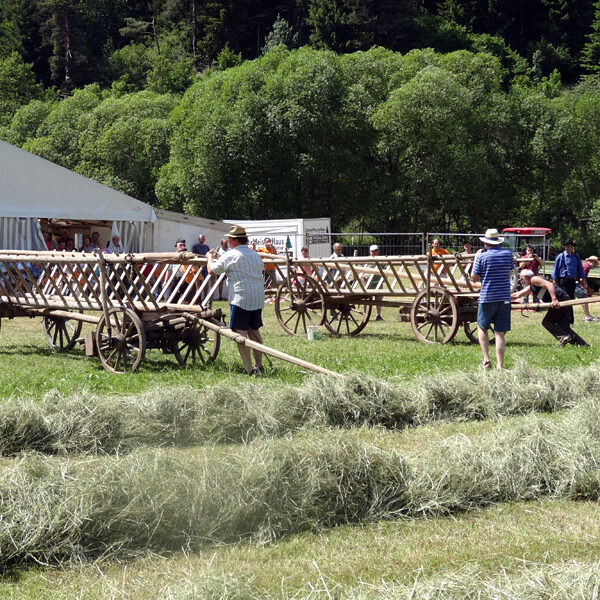 Leiterwagen aufbauen
