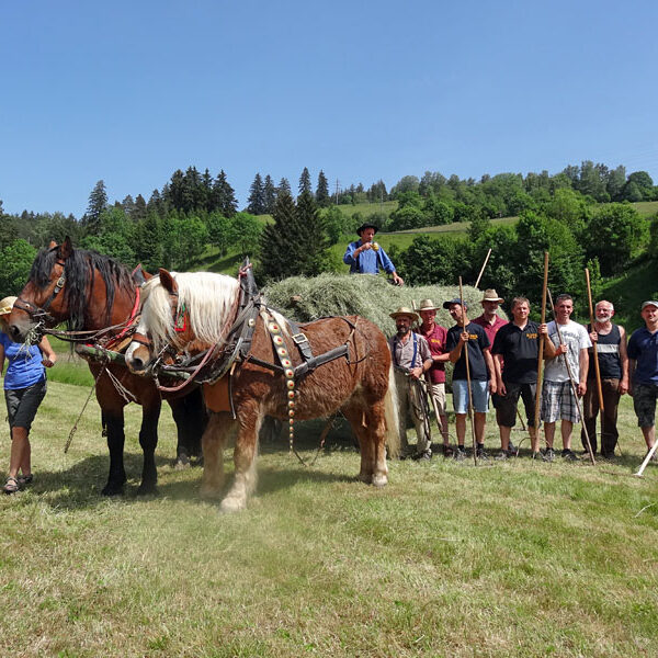 Heuwagen beladen und mit Gespann fahren