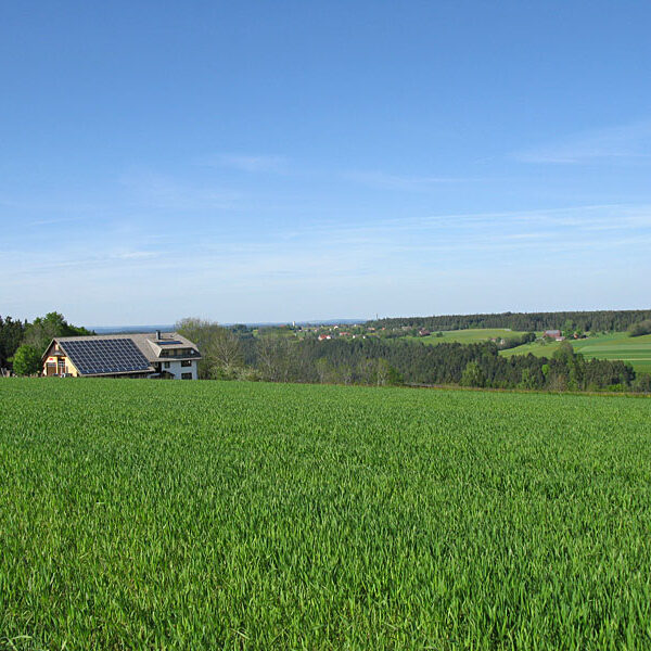 Wandern Tennenbronn - Tischneck - Ruine Berneck