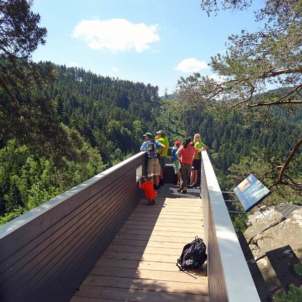 Triberg Schwarzwaldbahn Erlebnispfad