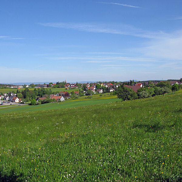 Wandern Tennenbronn - Tischneck - Ruine Berneck