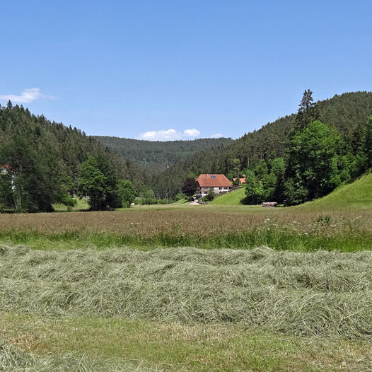 Leiterwagen aufbauen