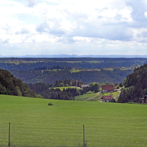 Lauterbacher Wandersteig