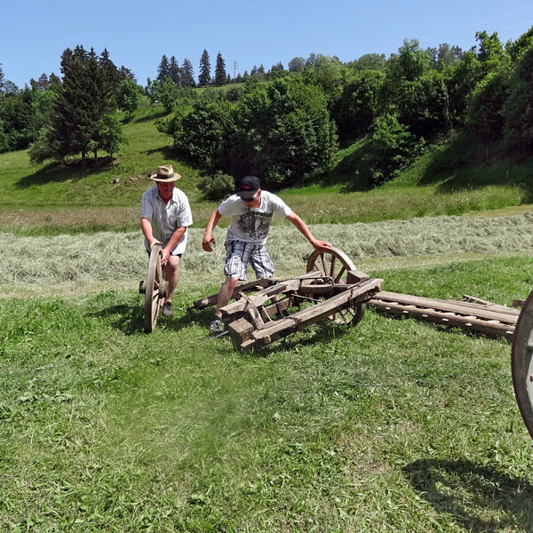 Leiterwagen aufbauen