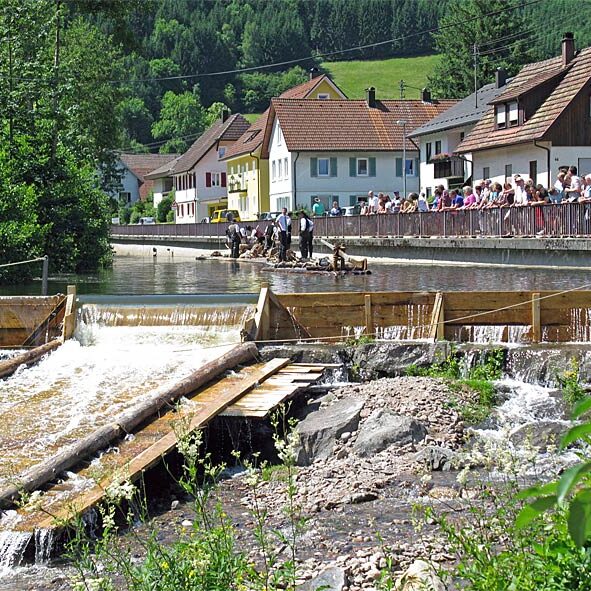Die Flößer im Schwarzwald