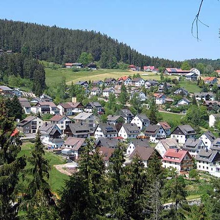 Wandern in Tennenbronn Mittelberg-Runde