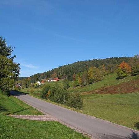Wandern im Eichbach Tennenbronn