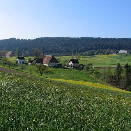 Wandern Tennenbronn - Buchenberg