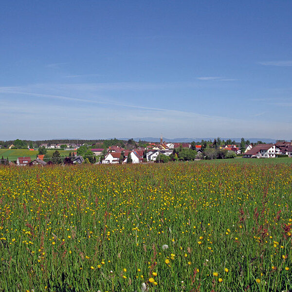 Wandern Tennenbronn - Tischneck - Ruine Berneck