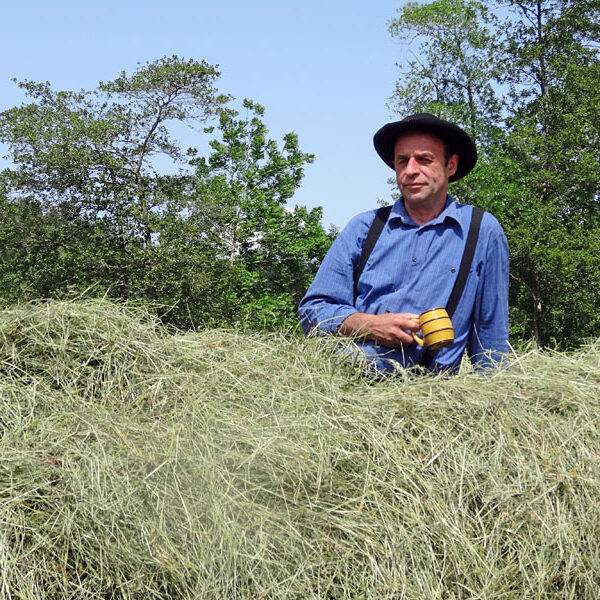 Heuwagen beladen und mit Gespann fahren
