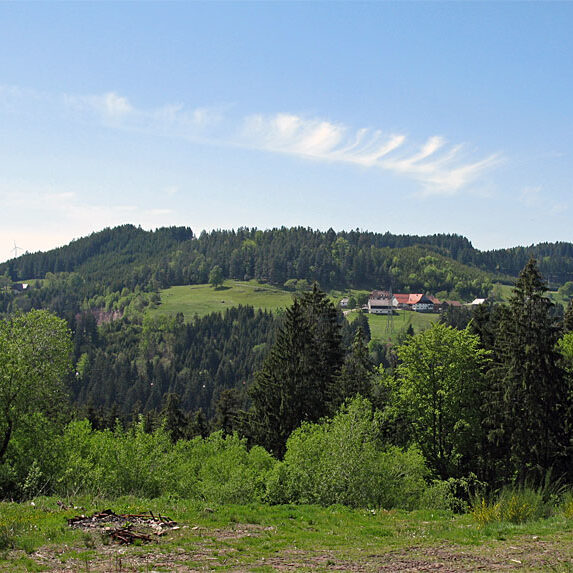 Wandern Tennenbronn - Tischneck - Ruine Berneck