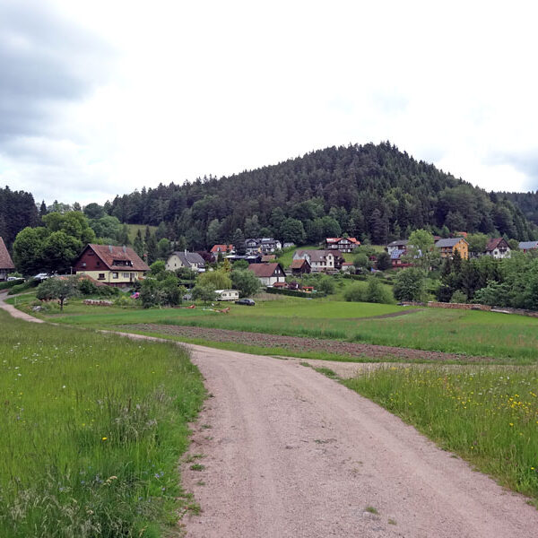 Lauterbacher Wandersteig